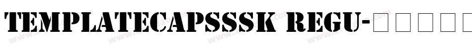 TemplateCapsSSK Regu字体转换